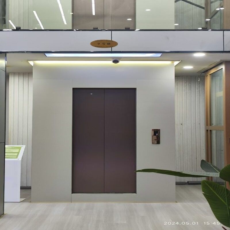 مصعد منزلي بانورامي بدون حفرة