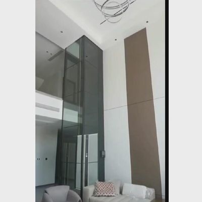 مصعد محرك المسمار مع باب الفولاذ المقاوم للصدأ وزر وقف الطوارئ