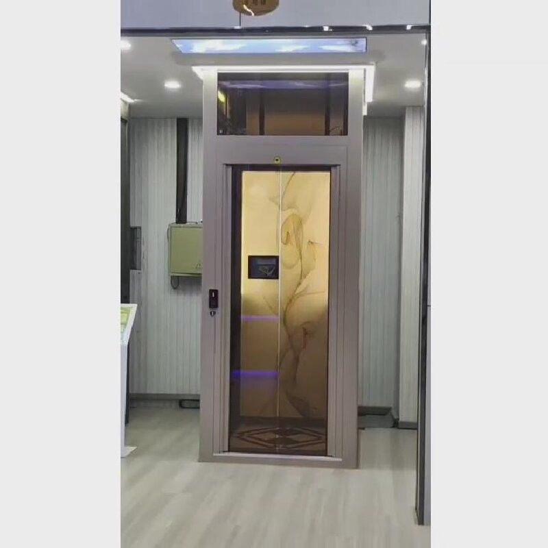 منزل مريح مصعد هيدروليكي بدون حفرة نوع عمود واحد أو مزدوج
