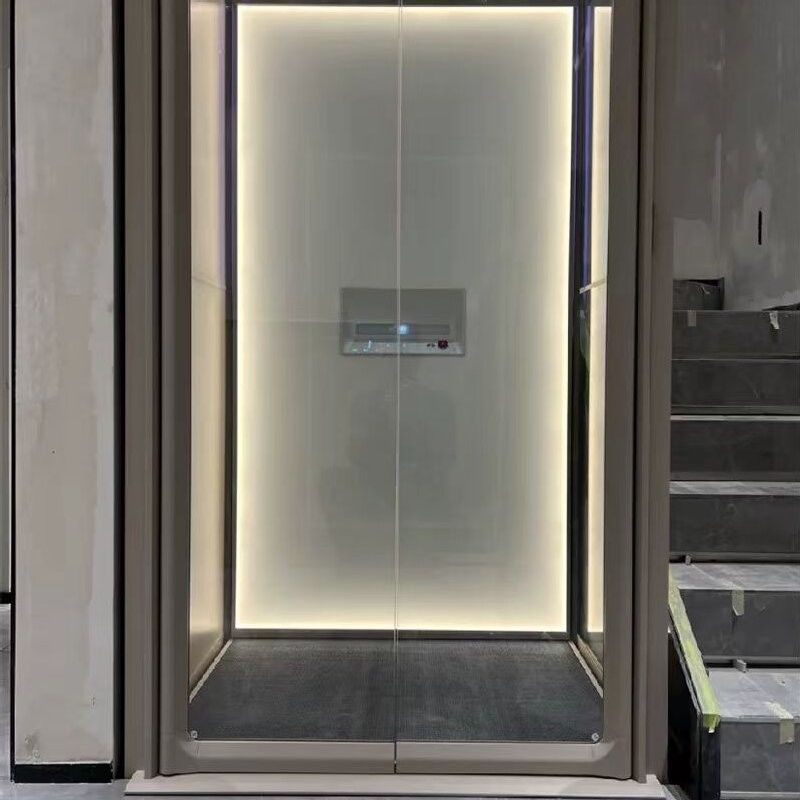 أرضية السفينة المصعد الهيدروليكي للركاب مع 3 أمتار من المساحة العلوية دعم التيار المتردد من مرحلة واحدة