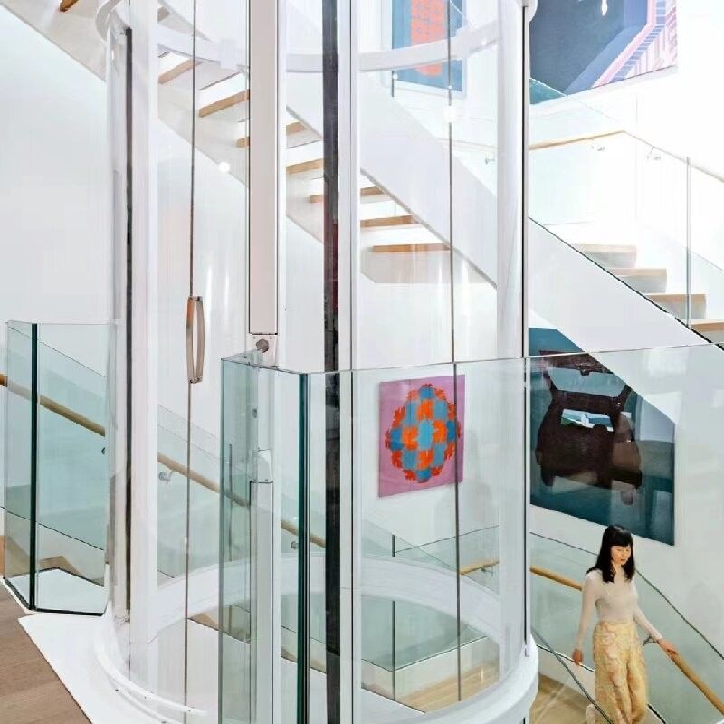 المصاعد المنزلية ذات الوزن 400 كجم المصاعد الداخلية السكنية بدون معدات للمنزل