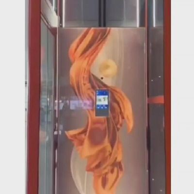 مصعد سكني صغير من الفولاذ المقاوم للصدأ 400 كجم مصاعد صغيرة للمنازل